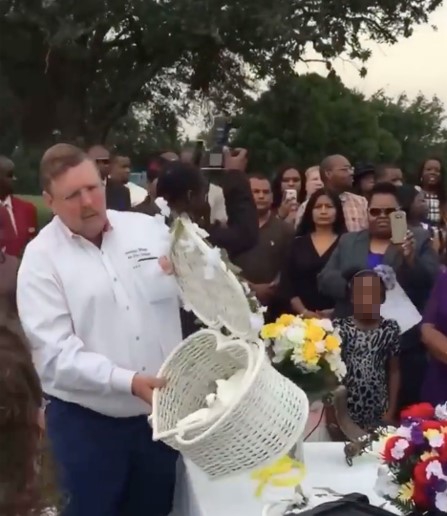 A group of birds were released from a wicker basket