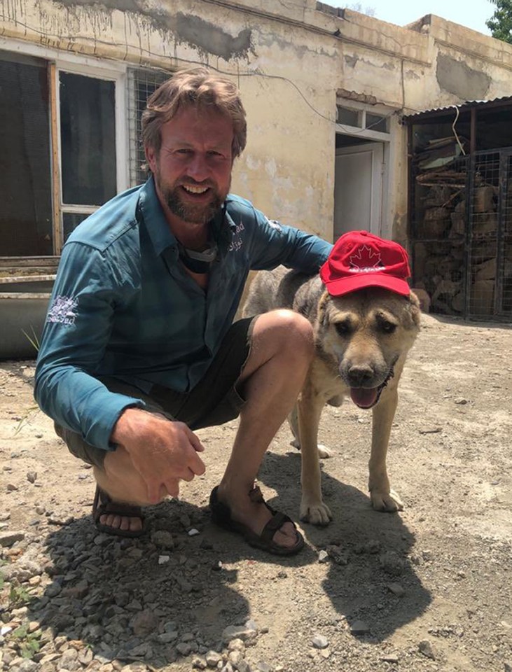 Farthing has been battling to get all of his 25 staff from animal welfare charity Nowzad