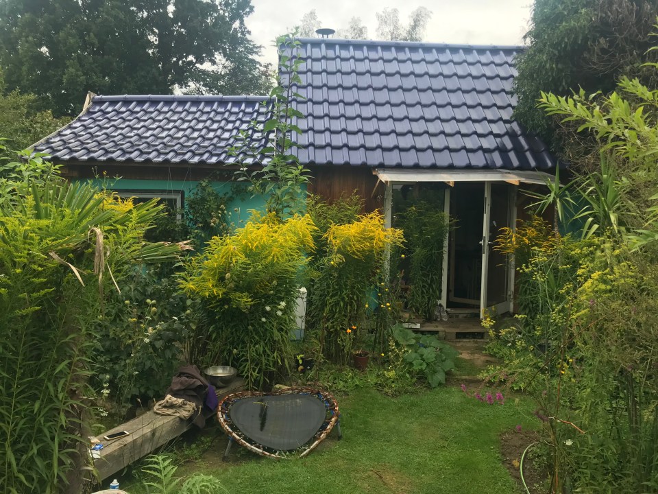 The property has a distinctive blue roof