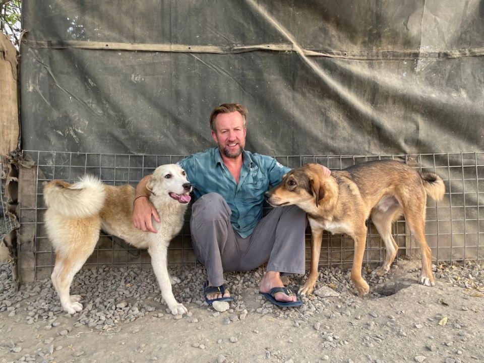 Pen said: 'Royal Marines don't just give up' - pictured yesterday with two of the dogs at a site in Afghanistan