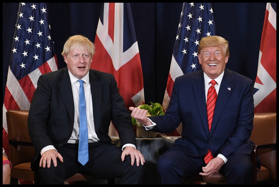 PM Boris Johnson meets then US President Donald Trump at the 74th session of the UN General Assembly in New York, September  24 2019