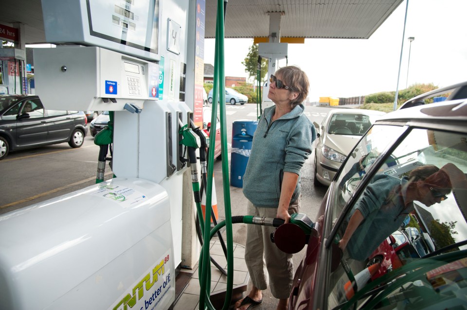 Around 600,000 driveres will be unable to use E10 petrol