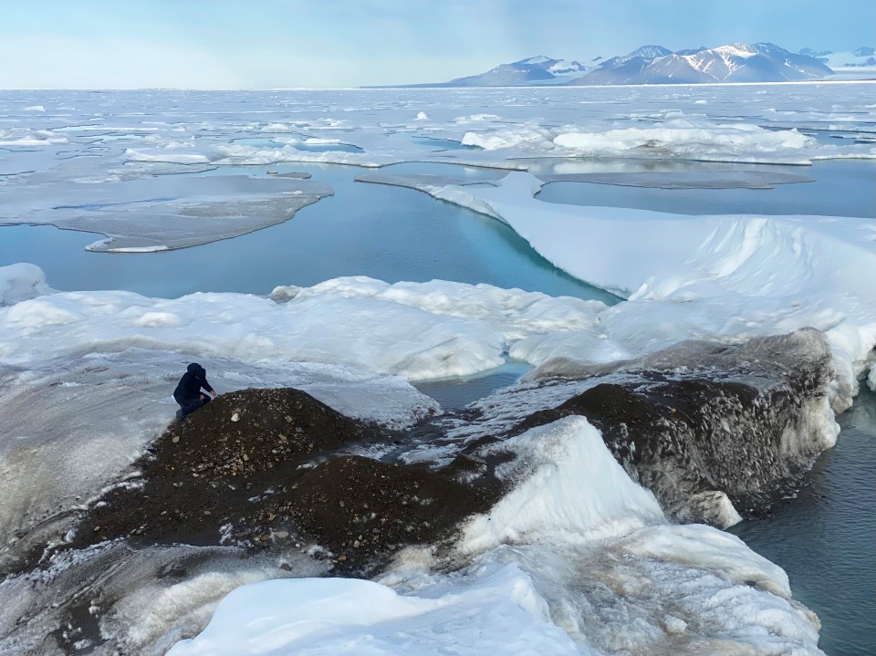 The island was revealed by melting ice