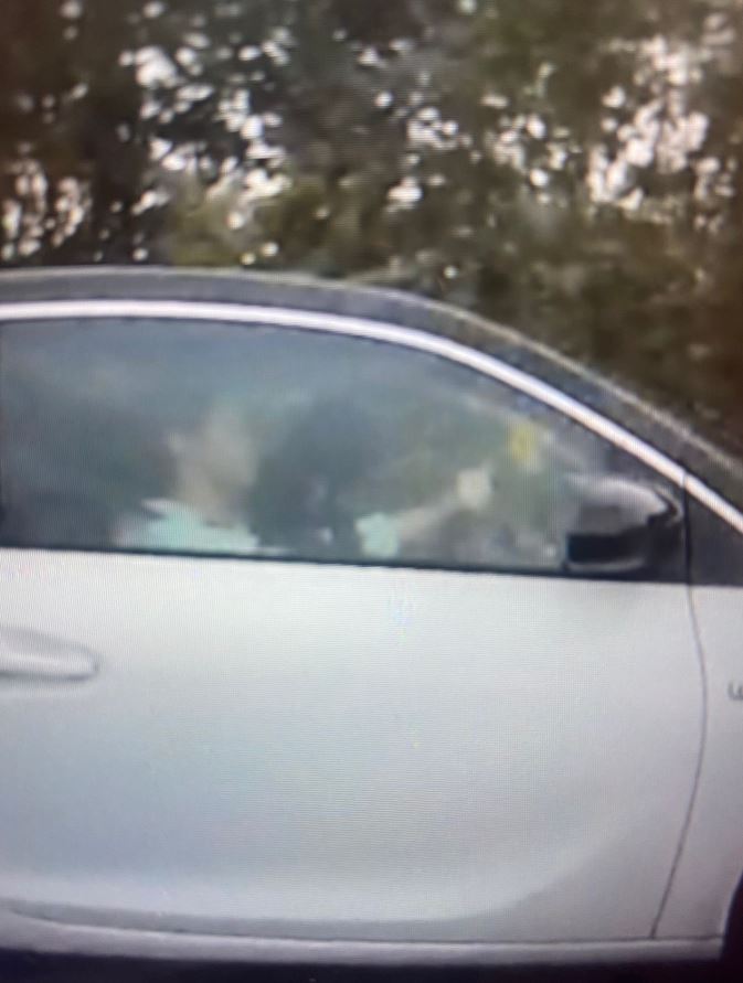 This driver was stopped by cops for letting their dog rest on their arms while driving