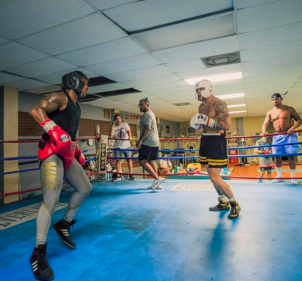 Anthony Taylor sparring Jake Paul