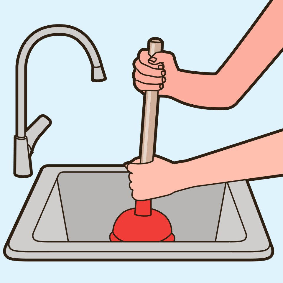 Start the process with a household plunger and plunge ten times or so