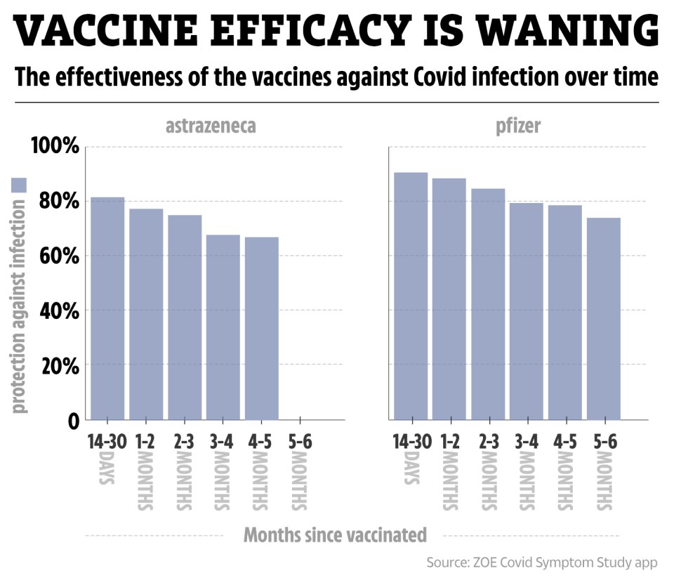 How immunity wanes over time, according to one study