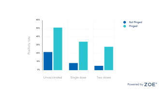 The chart above shows the number of people who were pinged by the NHS app