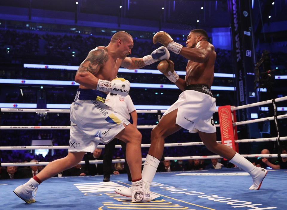 Anthony Joshua was beaten by Oleksandr Usyk in their Tottenham showdown