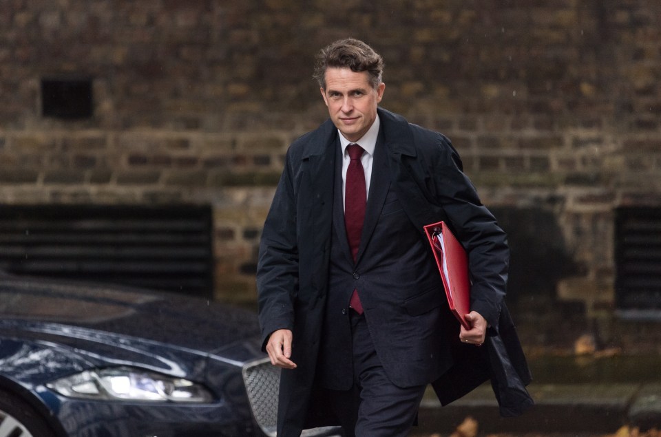 Gavin Williamson has been replaced as Education Secretary by ex-Vaccines Minister Nadhim Zahawi