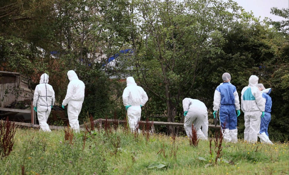 Police have launched an investigation after human remains were found in woodland