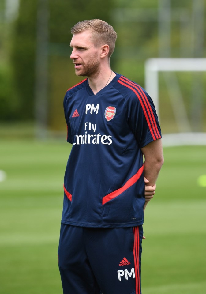 Per Mertesacker claims Arsenal are in a 'massive transition period'