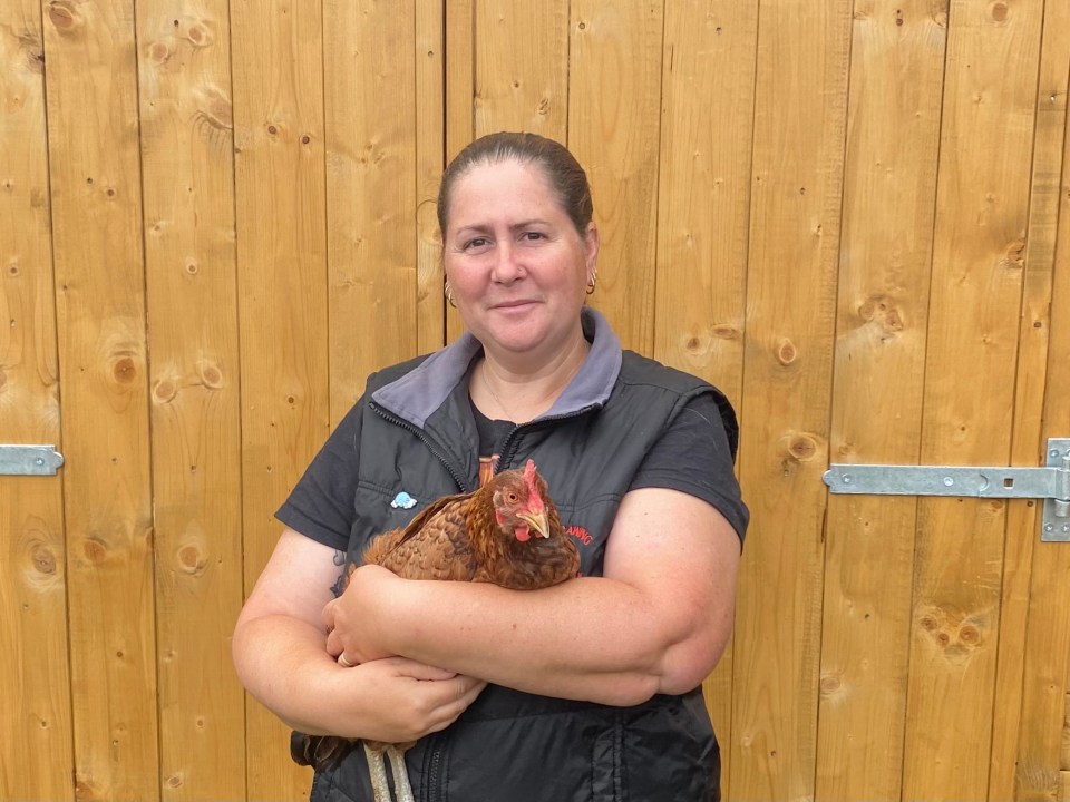 Chickens can do tricks just like dogs can and can improve their enrichment