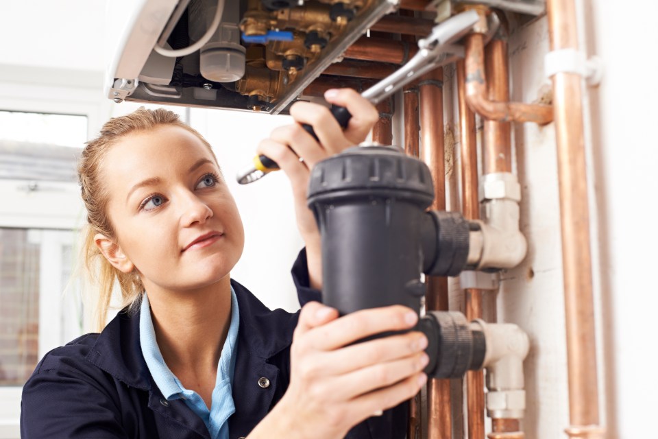 A standard service costs about £220 but it is ten times cheaper than the average cost of a new boiler