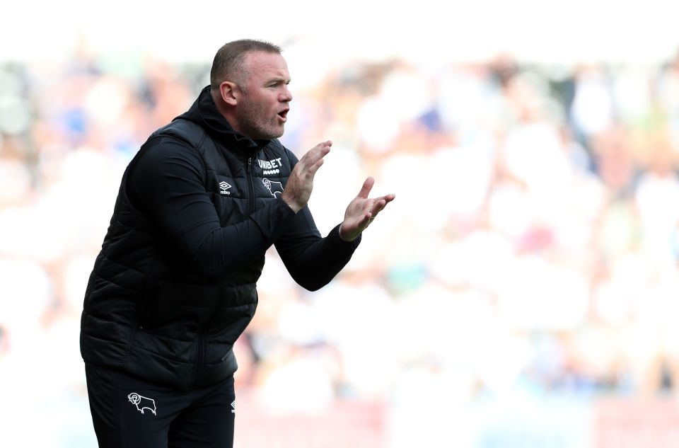 Wayne Rooney will not realistically be able to keep Derby up this term