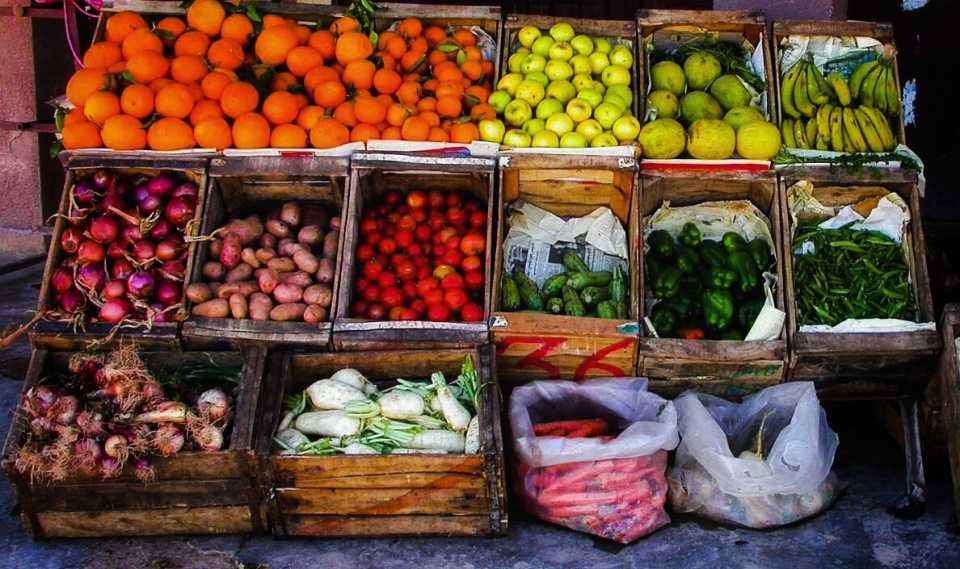 Bagged salads can easily fuel the growth of nasty bugs