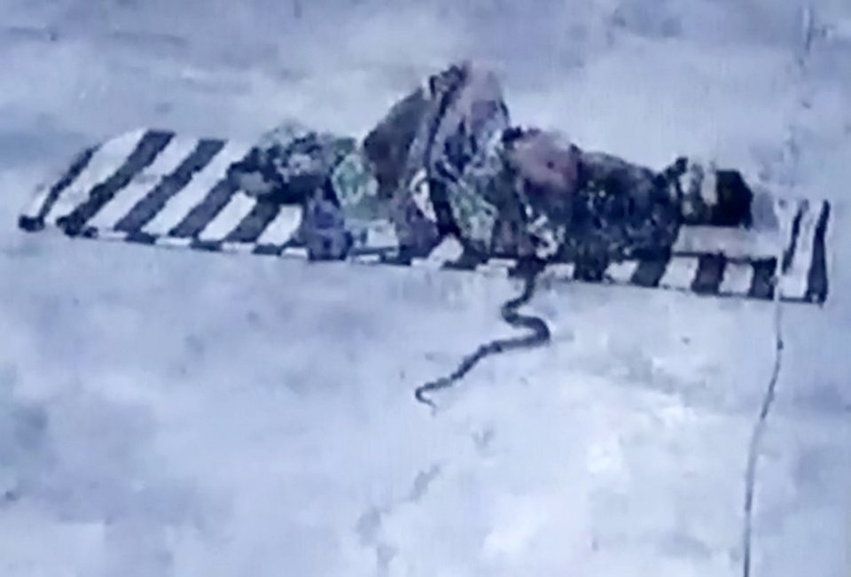 A snake crawls over beside a sleeping man in India