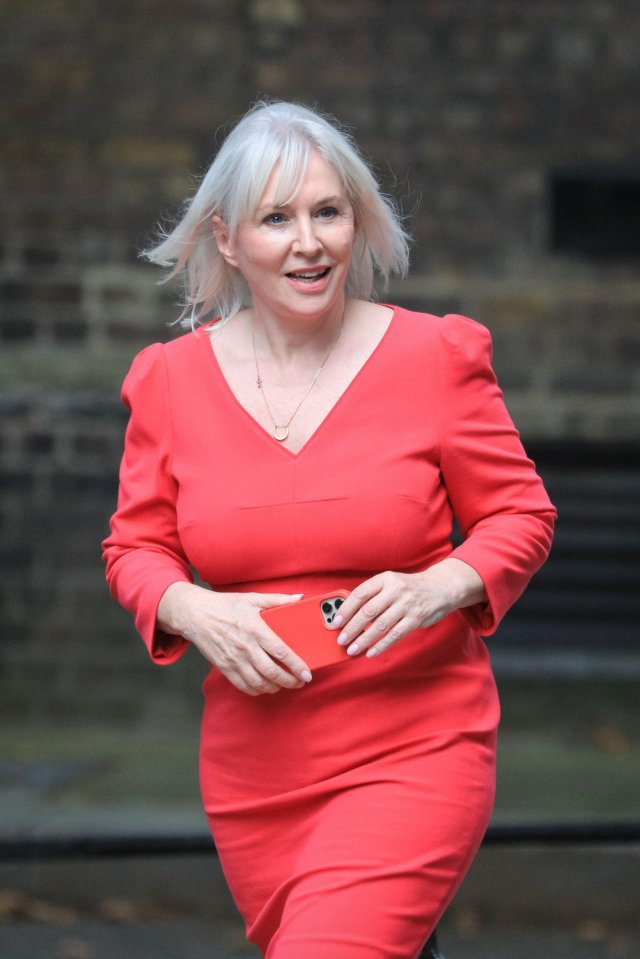 Nadine Dorries, newly-appointed culture secretary, is set to turn off the taps for woke art projects funded by the taxpayers