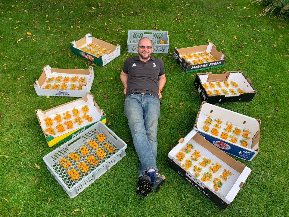 Douglas says his crop of tomatoes 'tastes great' as well as being record breaking