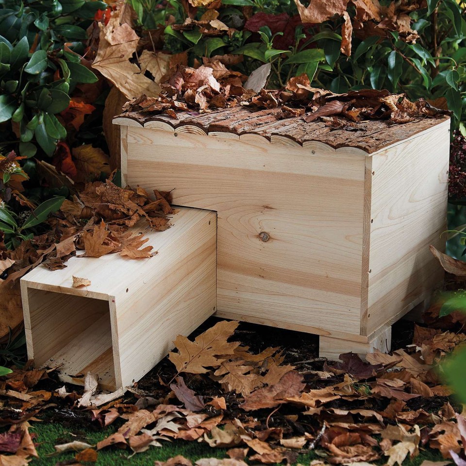 Add a hedgehog house to your garden