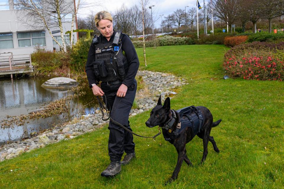 Bart won a Thin Blue Paw award for bravery