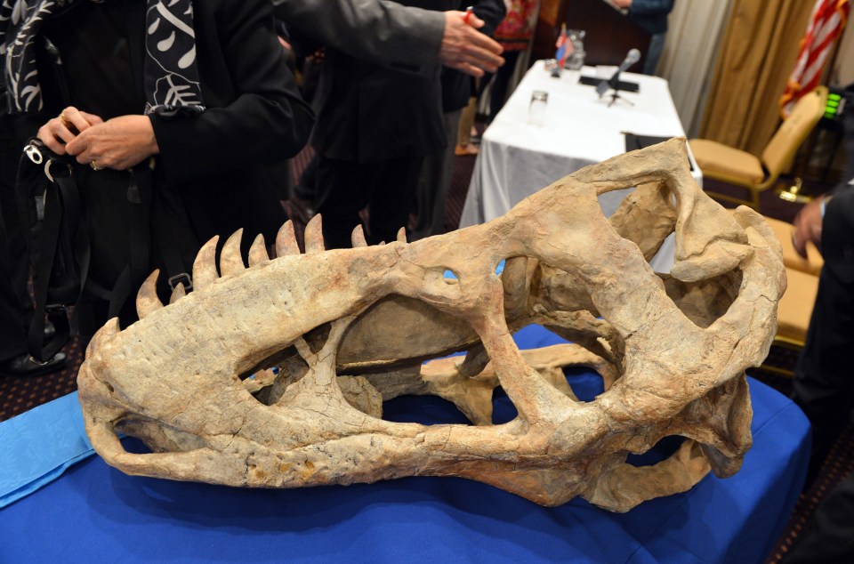 Nicolas outbid Leonardo Dicaprio and spent over £219k on a dinosaur skull