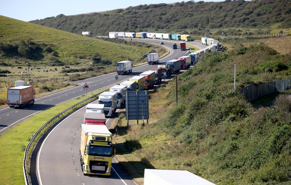 Lorries queue up on the A20 in Kent following the road closure caused by Insulate Britain