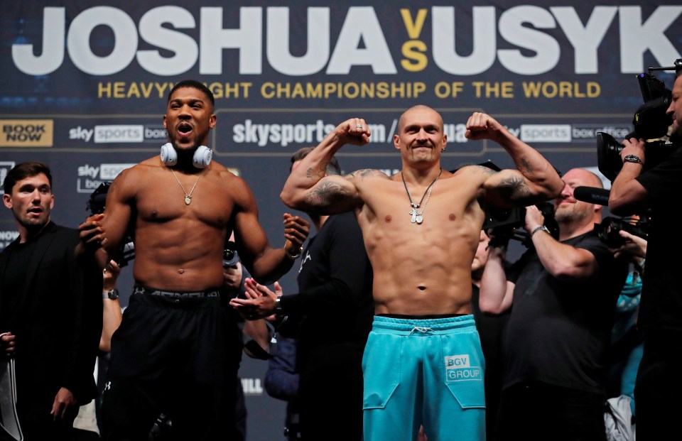 Anthony Joshua and Oleksandr Usyk battle in Tottenham