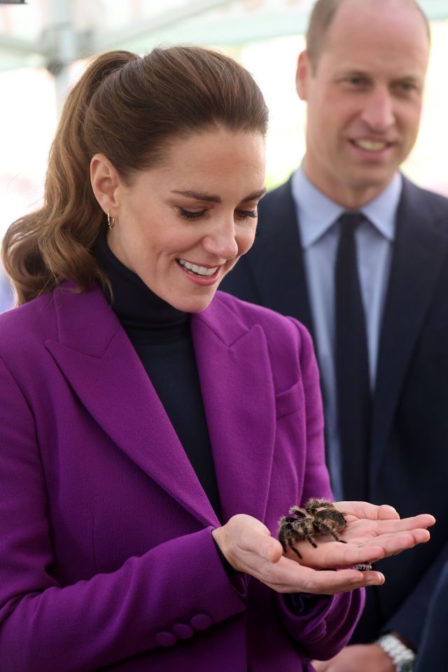 Duchess of Cambridge handles a tarantula called Charlotte from Kidz Farm