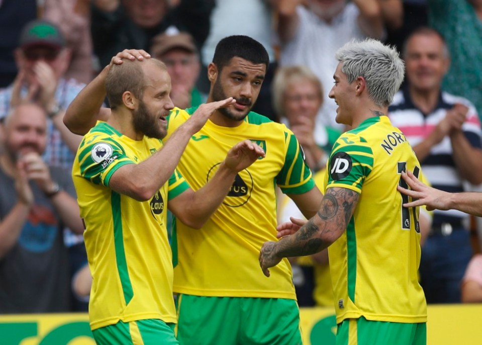 Teemu Pukki (left) fired Norwich level following a brilliant pass from Mathias Normann (right)