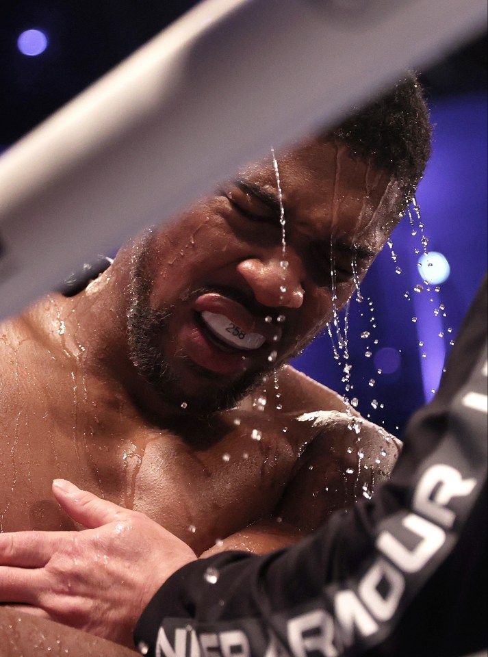 Anthony Joshua shows his pain during his loss to Oleksandr Usyk