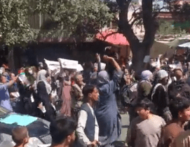 Protesters reportedly flooded the street of Kabul