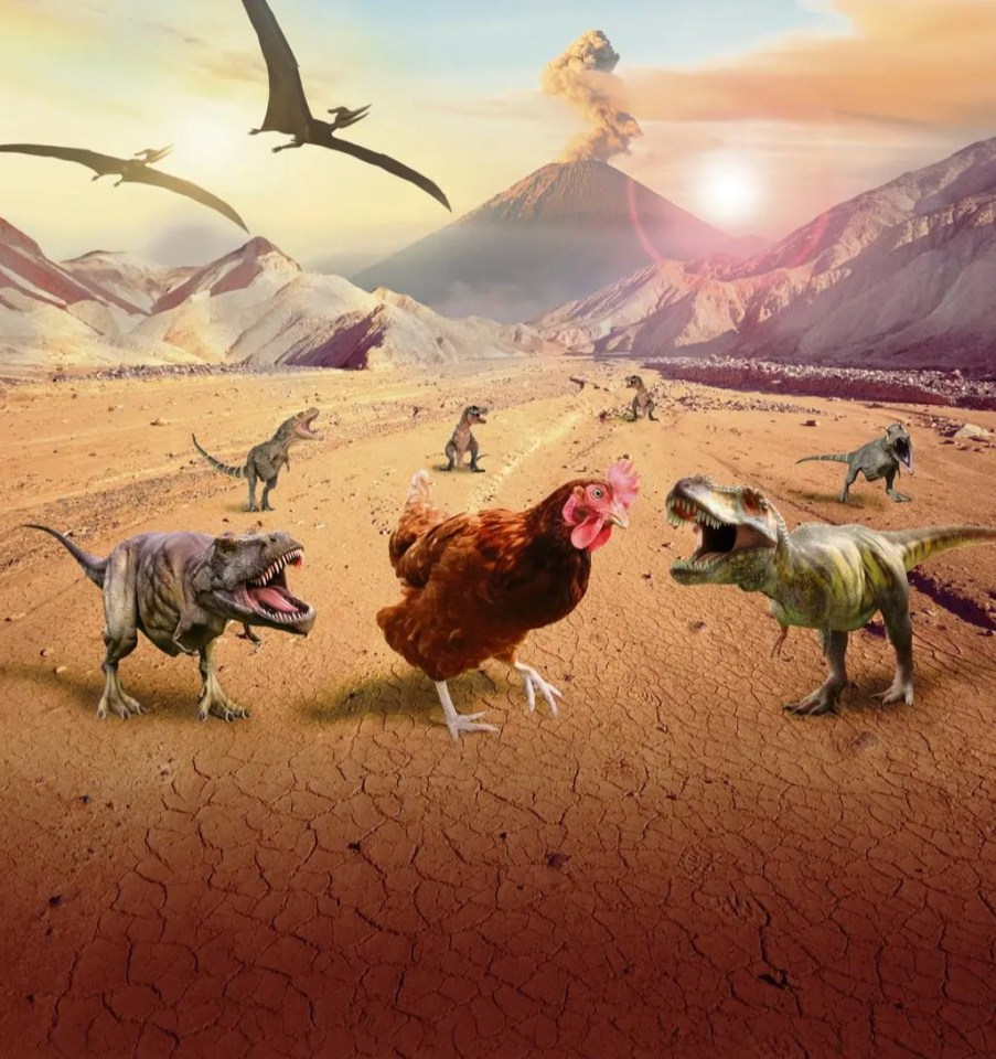 Boffins believe they have discovered the T-Rex's oldest ancestor - and it was the size of a chicken