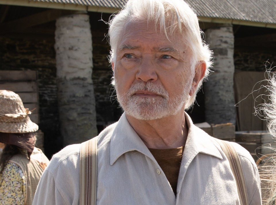 Dennis Stephenson – Played by Martin Shaw