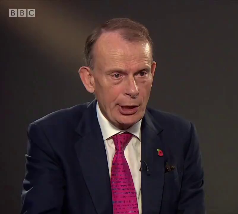 Interviewer Andrew Marr was speaking to the climate change activist on his BBC show