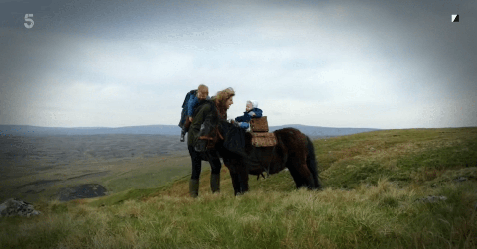 The Shetland pony lived to the grand old age of 40