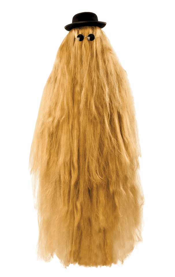 Adult Hairy Relative costume