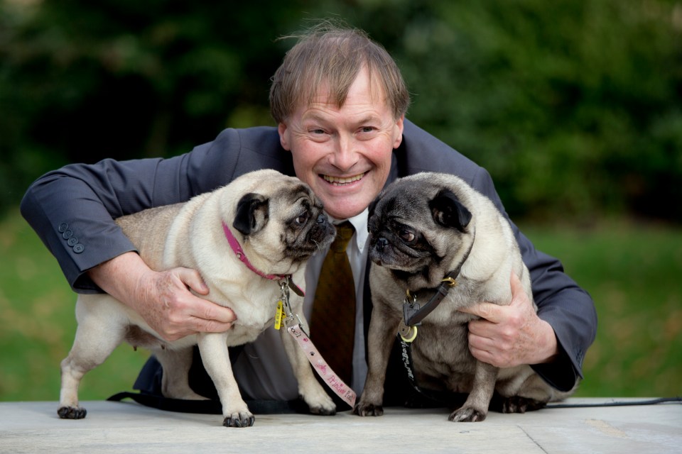 Sir David Amess died after being stabbed multiple times at a constituency surgery in Essex