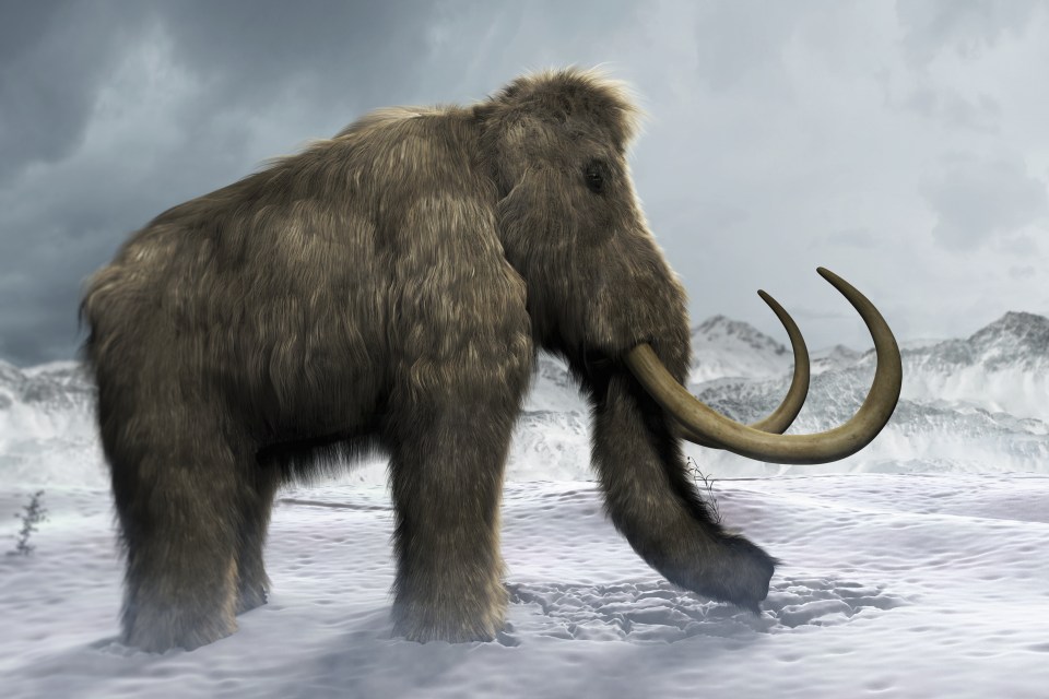 The Woolly Mammoth was wiped out by climate change 4,000 years ago