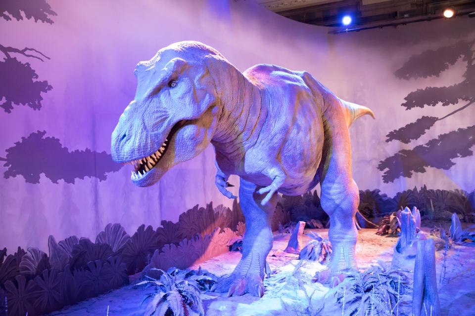 The small dinosaur bears a striking resemblance to its legendary cousin the T-Rex