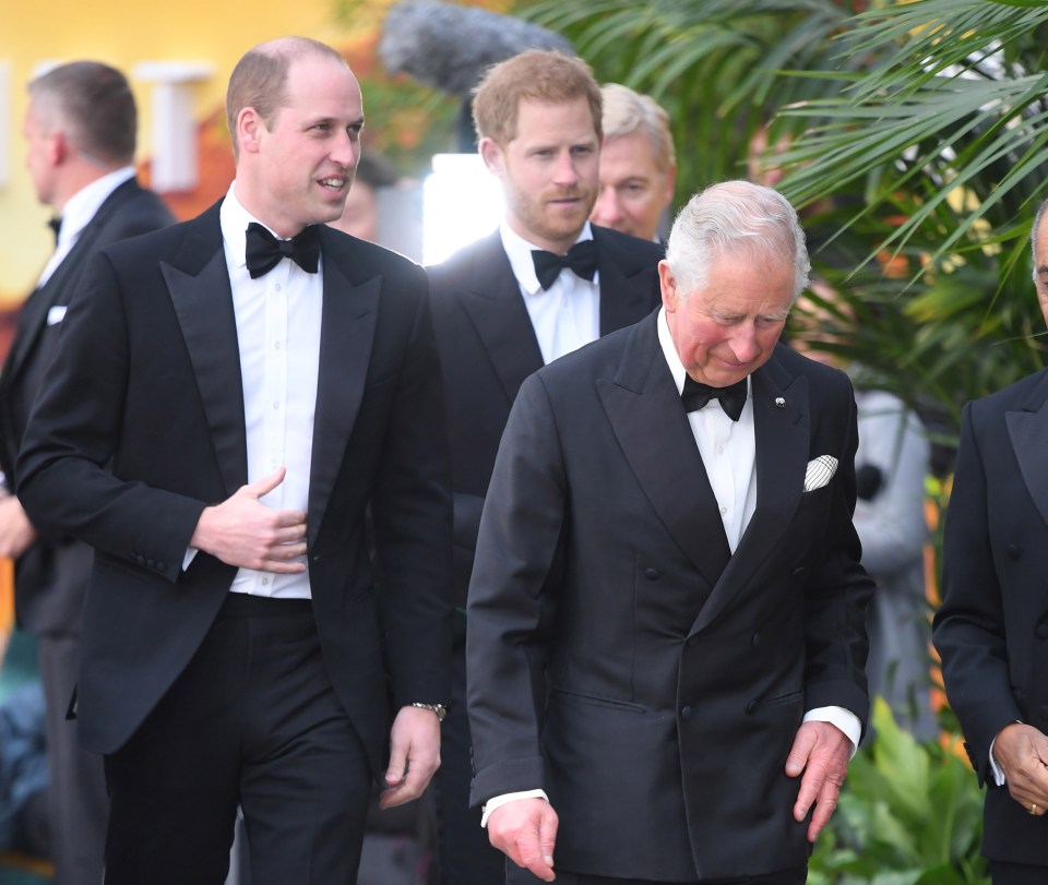 Prince Harry begged mining firms to stop pillaging oil