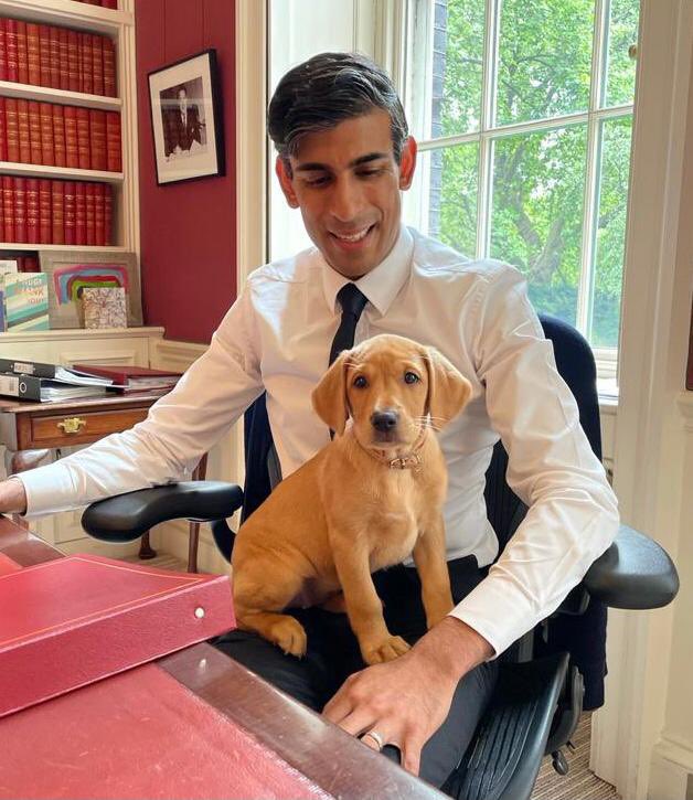 Rishi Sunak and his puppy Nova