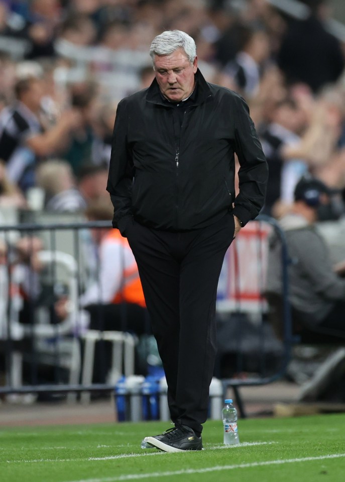 Steve Bruce is almost certain to be sacked with the takeover now complete