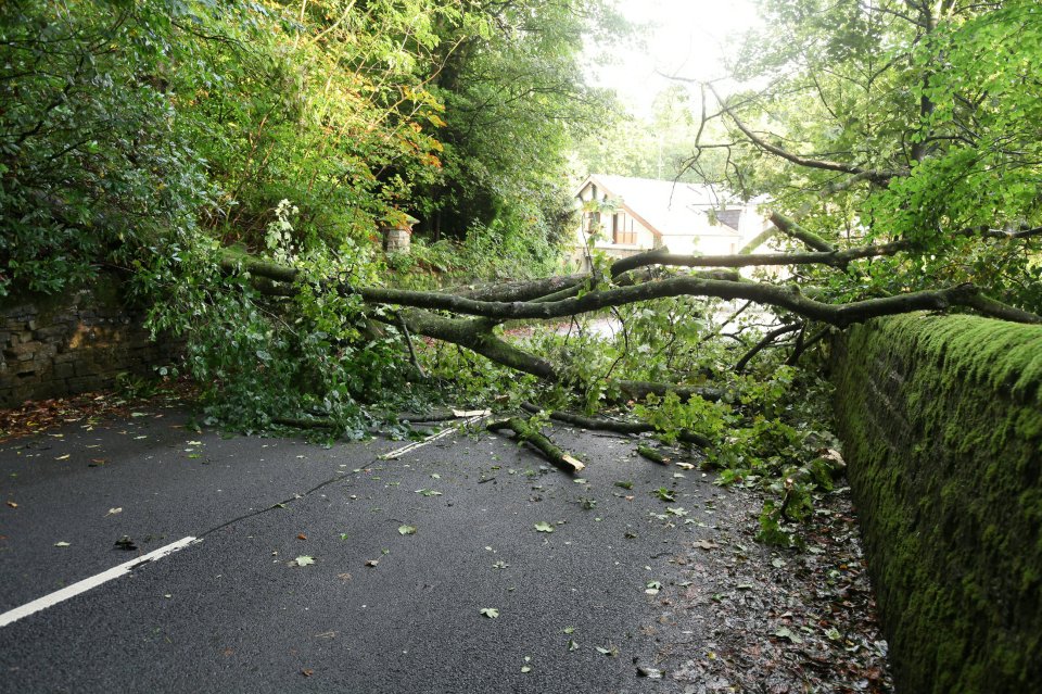 A fallen tree blocks Smithills Croft Road, Bolton, after heavy wind and rainfall