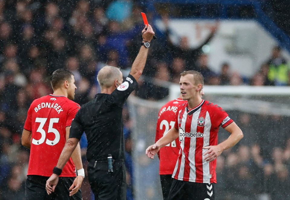 The Saints skipper was shown a straight red after Martin Atkinson consulted the VAR monitor