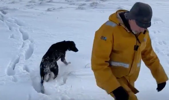 A camera was lost in deep snow on the farm