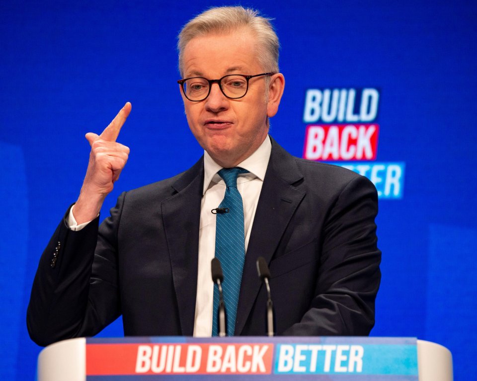 The cabinet minister - seen here giving a speech at the Conservative party conference on Monday - split from his wife of 20 years in July