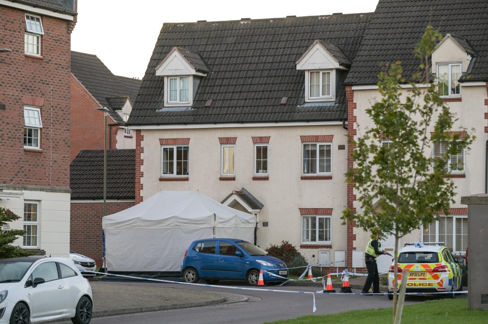 A man has died and two others have been hurt after a stabbing rampage