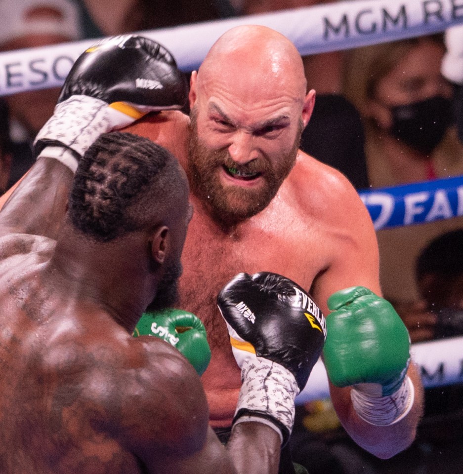 Deontay Wilder was beaten by Tyson Fury in their trilogy fight