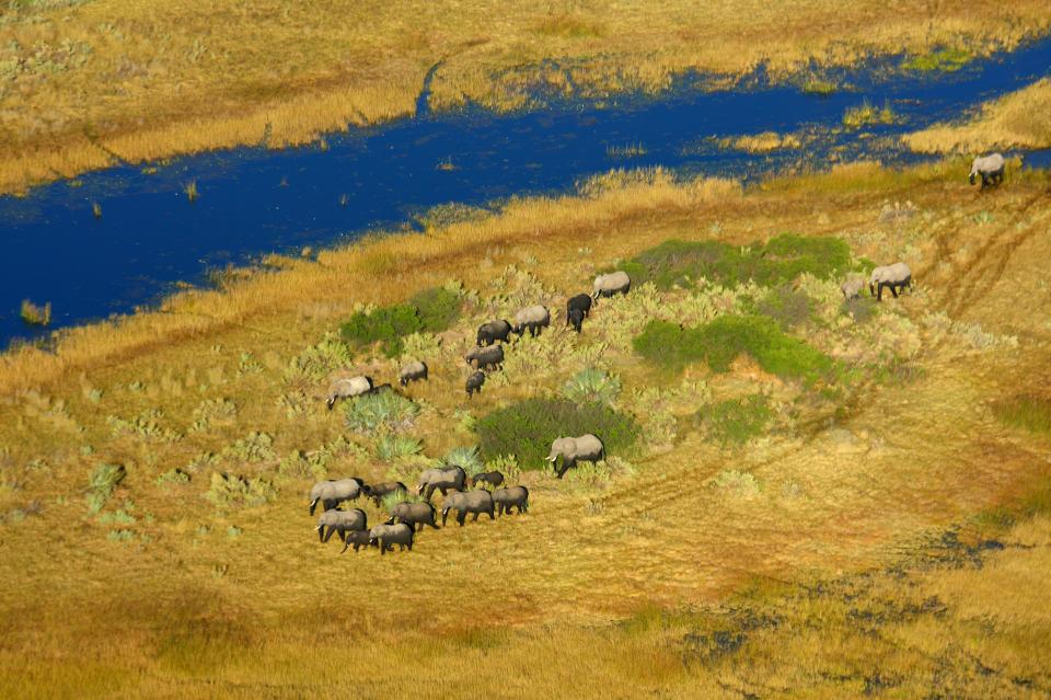 The Duke of Sussex said the Okavango watershed (pictured) in southern Africa is "at risk"